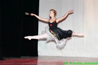 koncert-noworoczny-2012--02